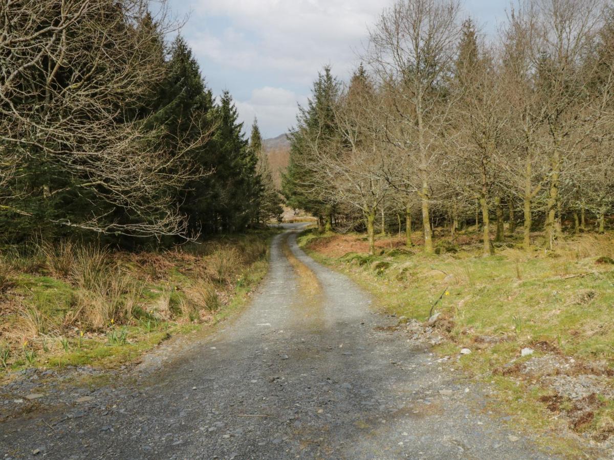 Brithgwm Canol Dolgellau Εξωτερικό φωτογραφία